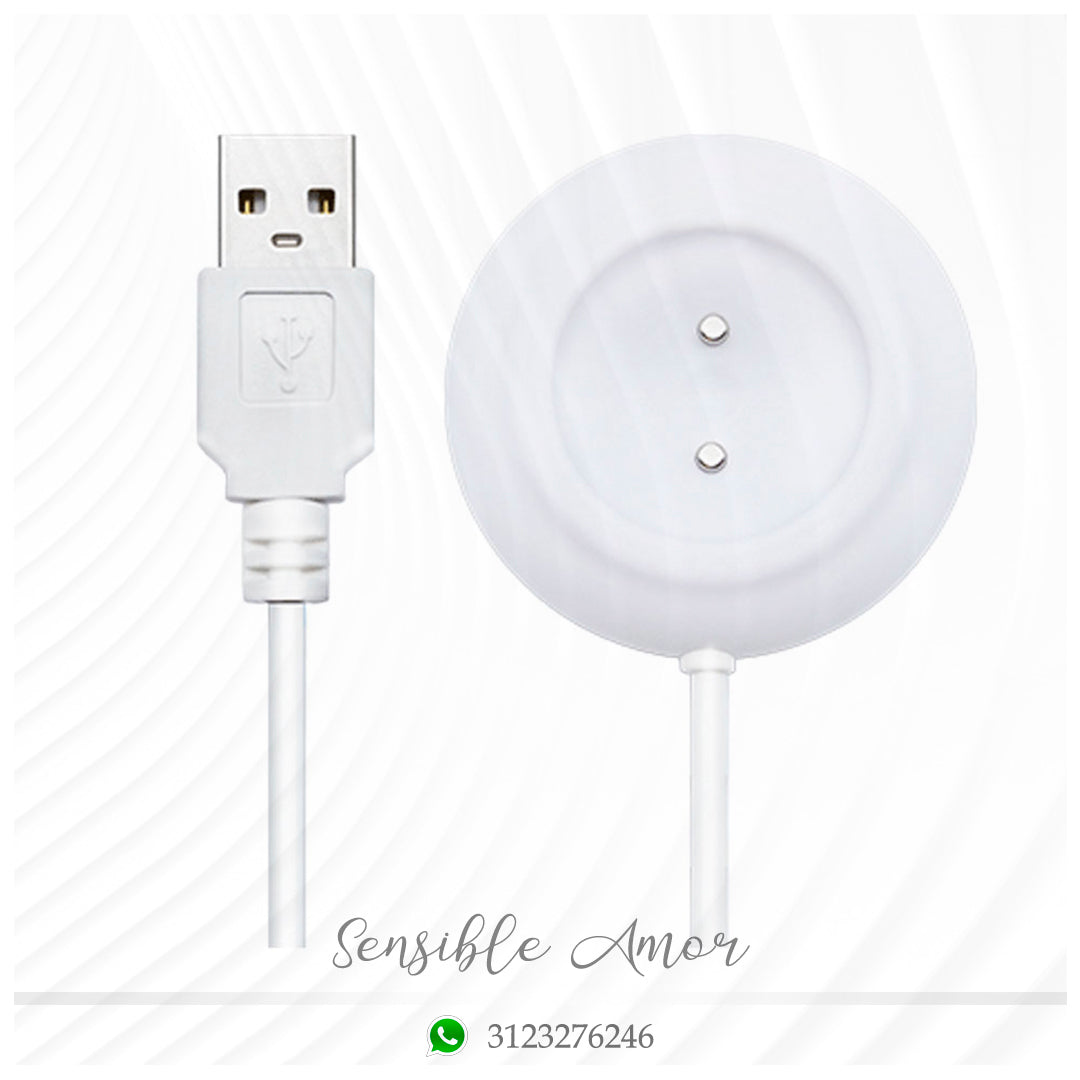 Cargador USB Ambi